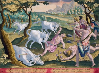 Eenhoorns aan de oevers van de Indus, gejaagd met toestemming van de koning, plaat 29 uit 